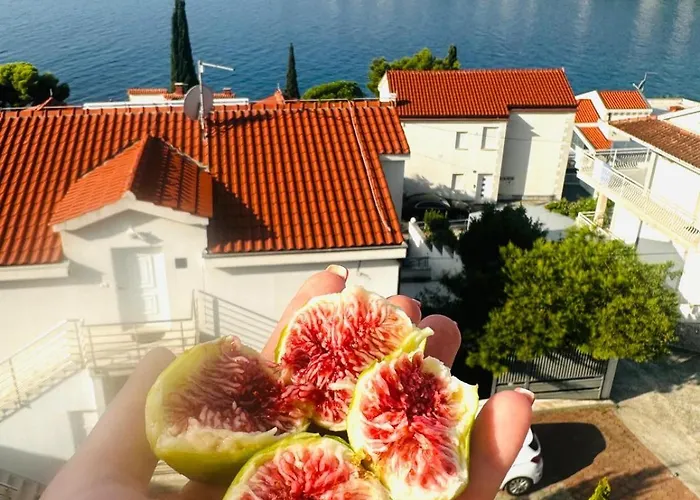 Medusalina-maestrale Apartment Trogir