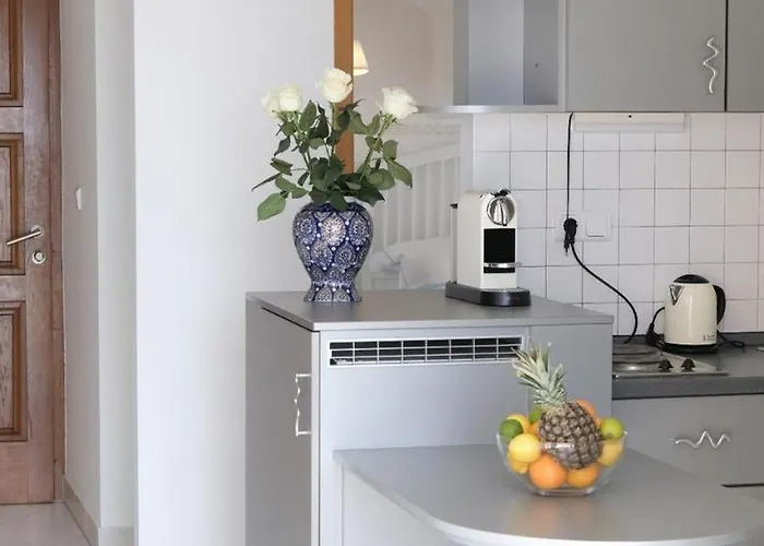 Medusalina-maestrale טרוגיר